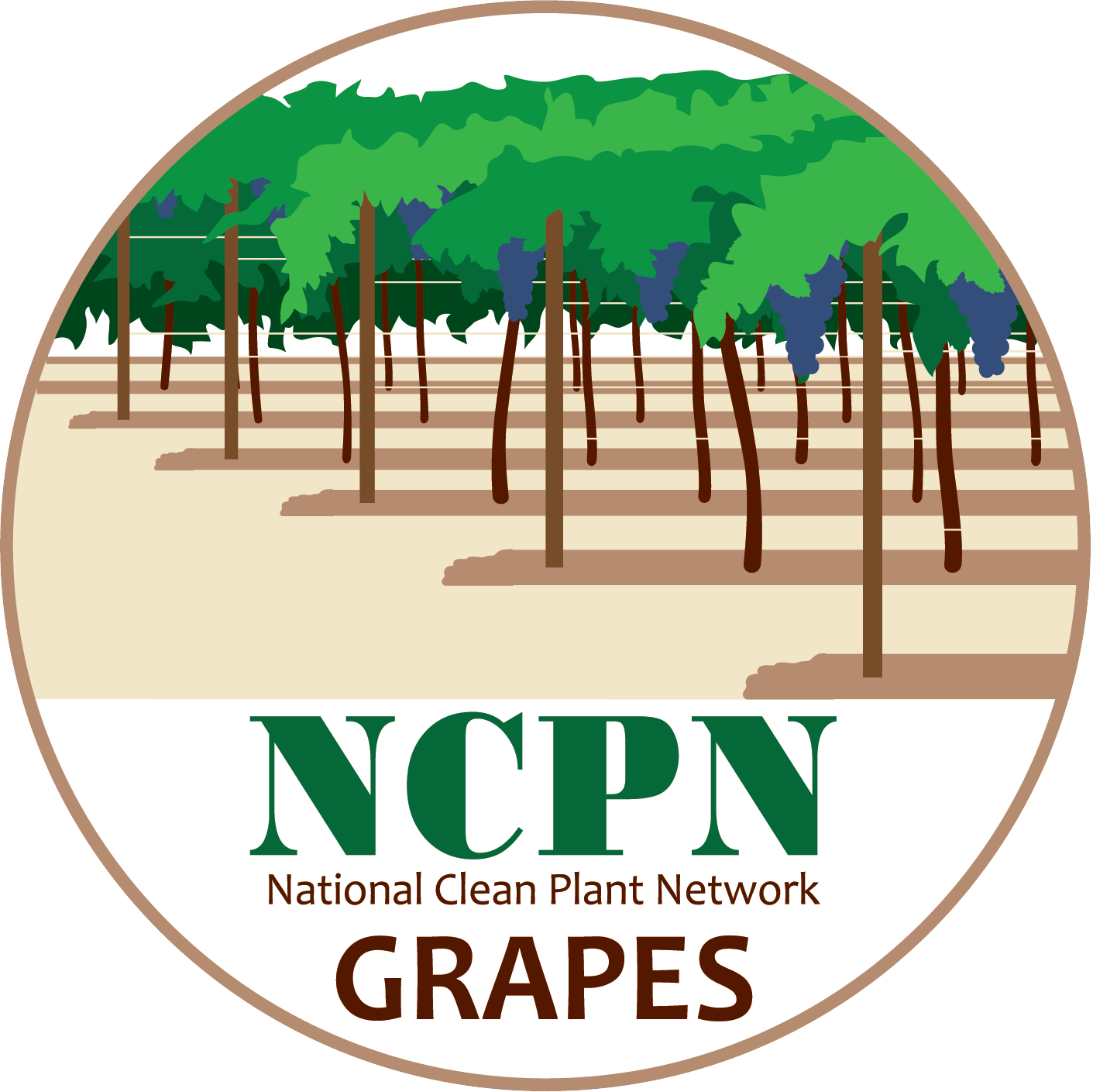 ncpn_grapes_png